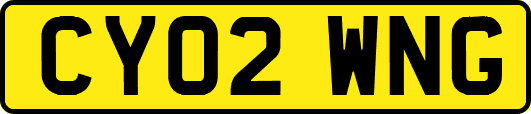 CY02WNG