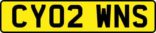 CY02WNS