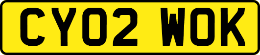CY02WOK
