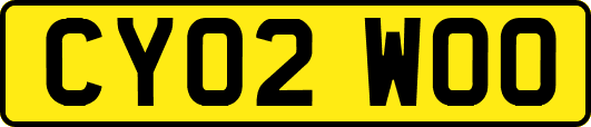 CY02WOO
