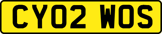 CY02WOS