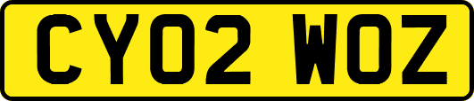 CY02WOZ