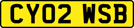 CY02WSB