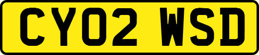 CY02WSD