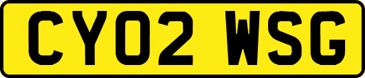 CY02WSG