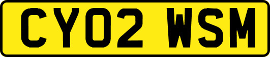 CY02WSM