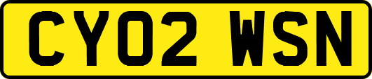 CY02WSN