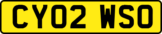 CY02WSO