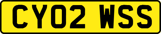 CY02WSS