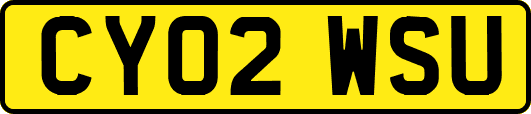CY02WSU