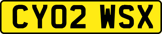 CY02WSX