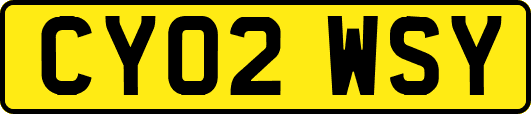 CY02WSY