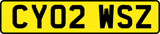CY02WSZ