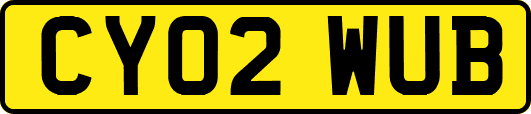 CY02WUB