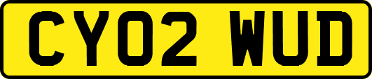 CY02WUD