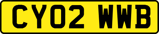 CY02WWB