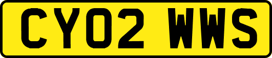 CY02WWS