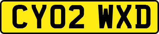 CY02WXD