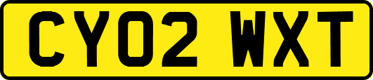 CY02WXT