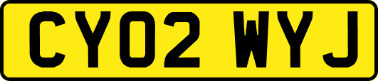 CY02WYJ