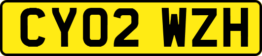 CY02WZH