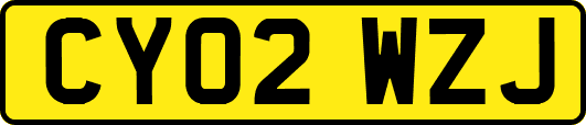 CY02WZJ