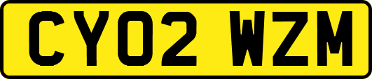 CY02WZM