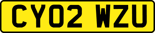 CY02WZU