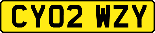 CY02WZY