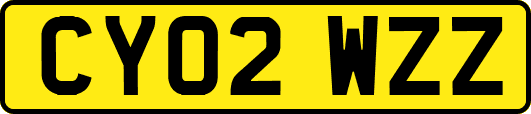CY02WZZ