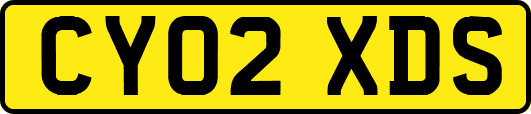 CY02XDS