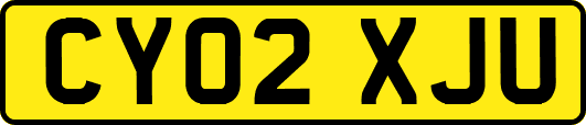 CY02XJU