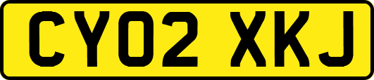 CY02XKJ