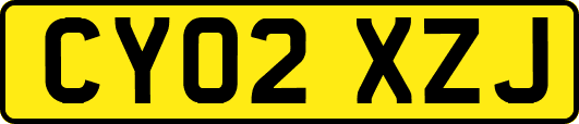 CY02XZJ