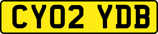 CY02YDB