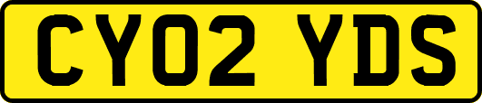 CY02YDS