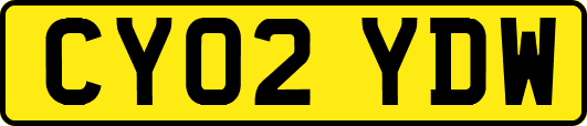 CY02YDW