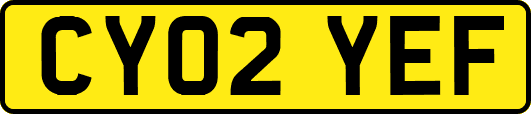 CY02YEF