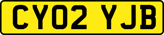 CY02YJB