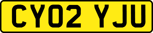 CY02YJU