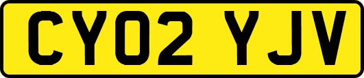 CY02YJV