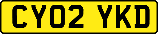 CY02YKD