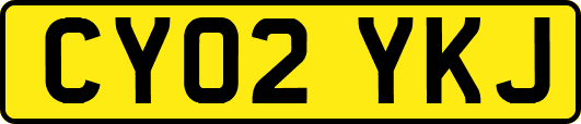 CY02YKJ