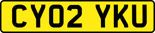 CY02YKU