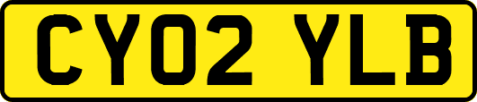 CY02YLB