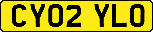 CY02YLO
