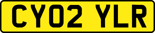 CY02YLR