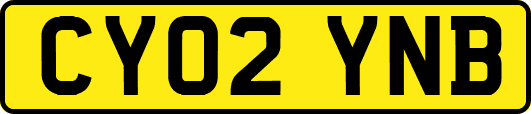 CY02YNB