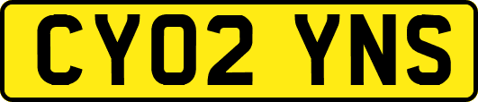 CY02YNS