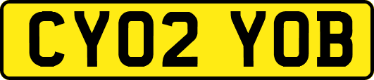 CY02YOB